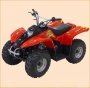 Loncin  | Loncin LX 50 ST- (  6 ):  ,   