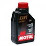  2-  |     Kart Racing 2T:  ,   